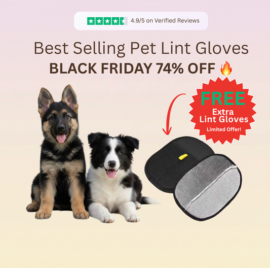 PETO™ 360 Pet Lint Gloves