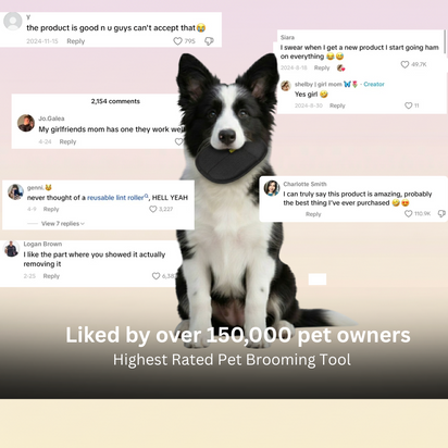 PETO™ 360 Pet Lint Gloves