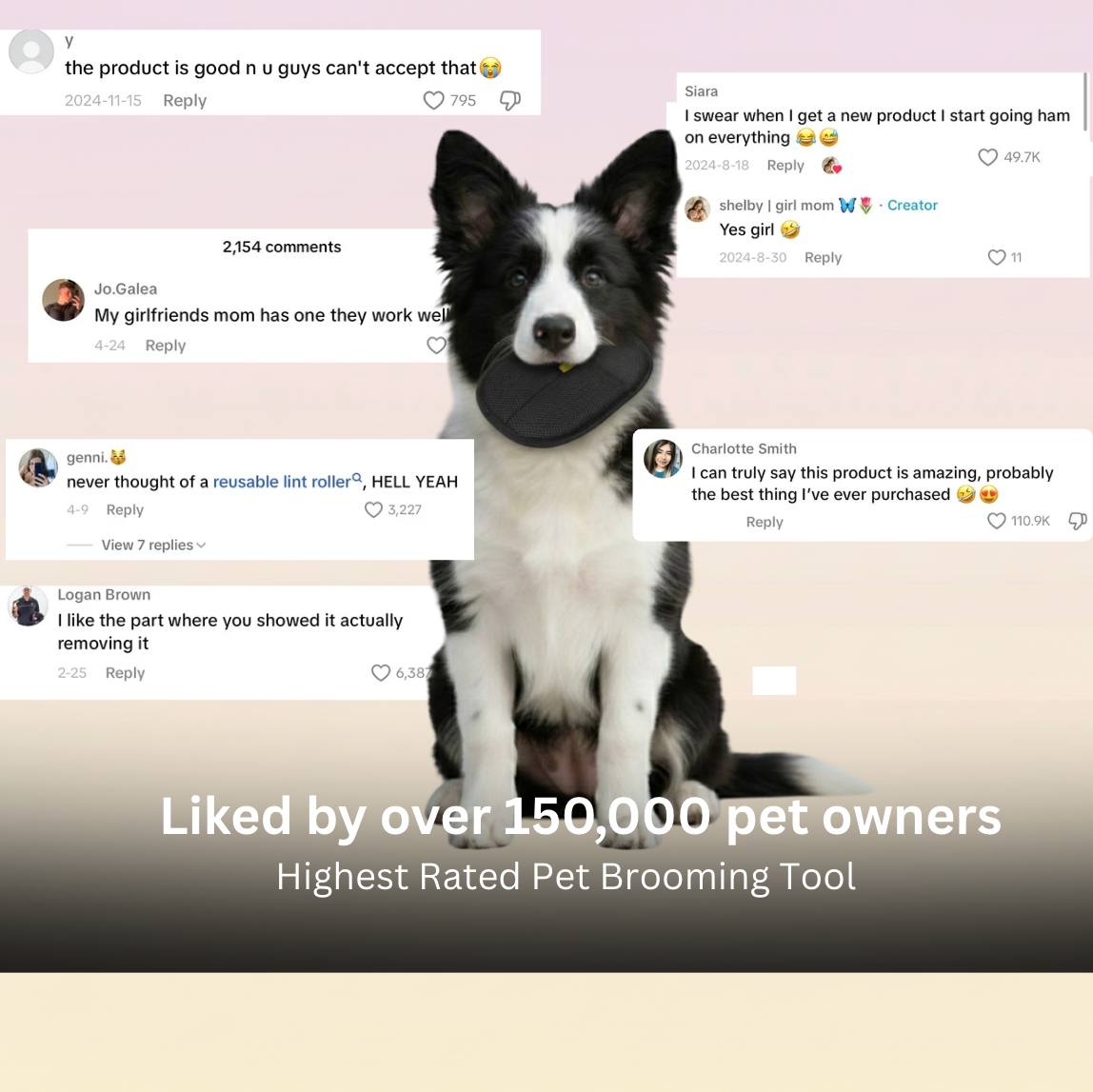 PETO™ 360 Pet Lint Gloves