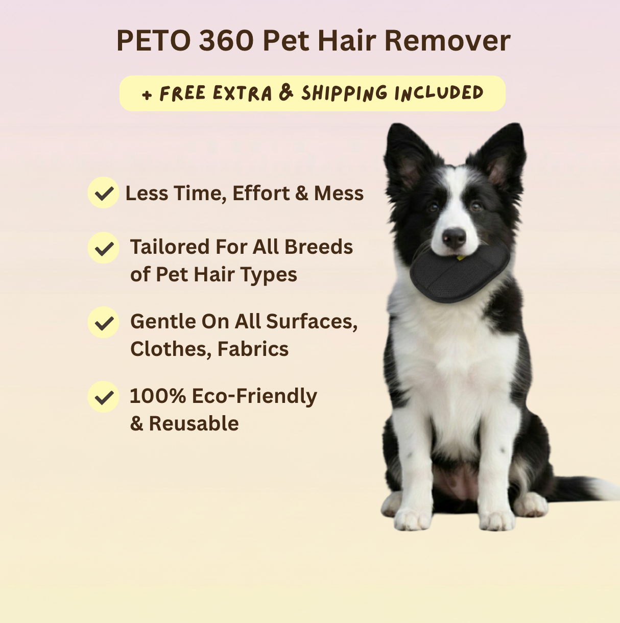 PETO™ 360 Pet Lint Gloves