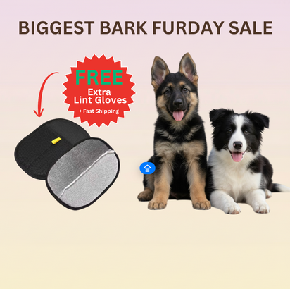 PETO™ 360 Pet Lint Gloves